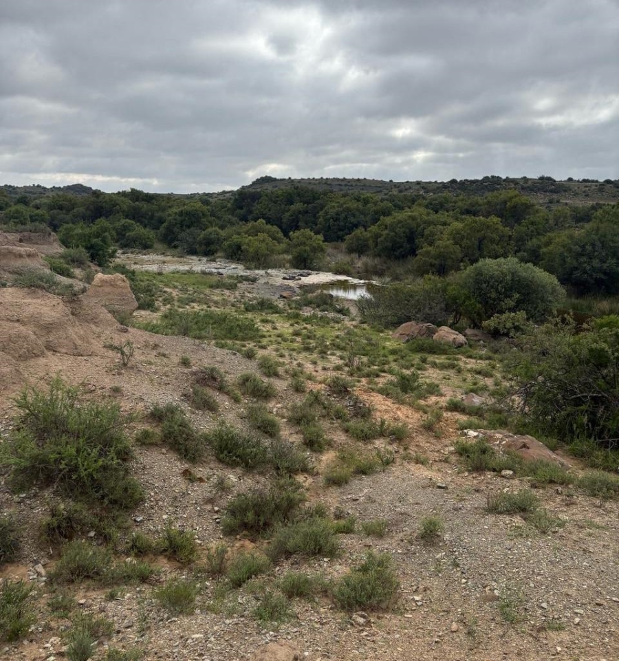 4 Bedroom Property for Sale in Colesberg Northern Cape